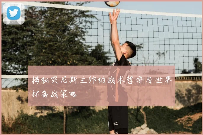 揭秘突尼斯主帅的战术哲学与世界杯备战策略
