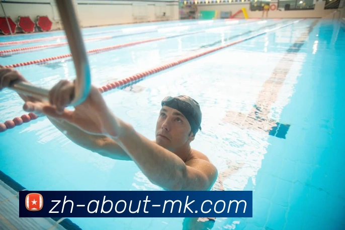 MK体育平台生态图