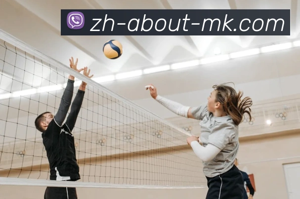 MK体育APP 封面图